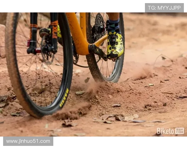 皇家贝蒂斯俱乐部:西甲绿洲的荣耀与挑战之路 皇家贝蒂斯俱乐部:西甲绿洲的荣耀与挑战之路