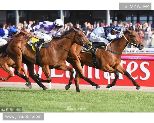 全国赛场劲风再起新秀崛起老将奋战共同点燃冬季体育无限激情盛况