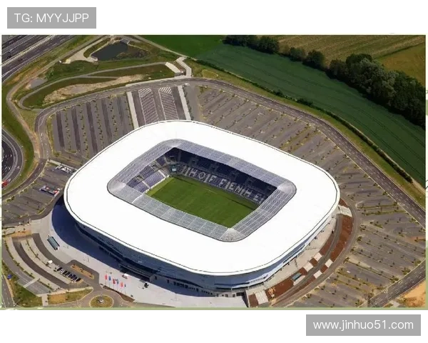 霍芬海姆1899足球俱乐部的历史发展与未来愿景分析